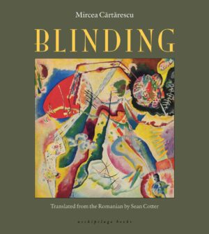blinding book one cover