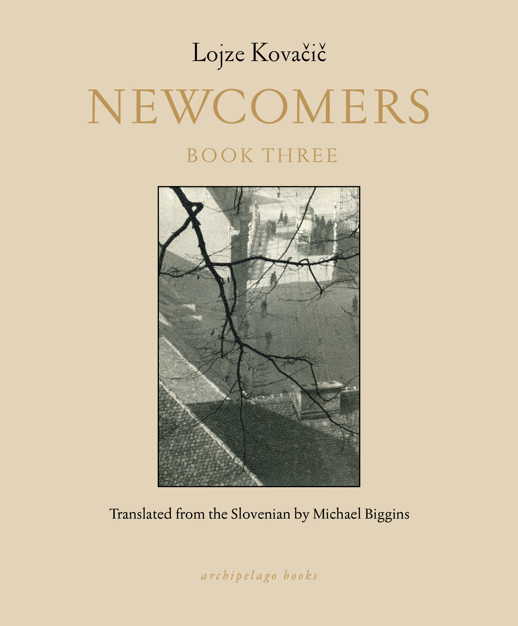 Newcomers Book 3 Cover